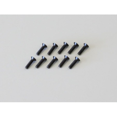 K.1-S33012H - Hex Flat Head Screws 3x12mm (10)