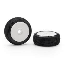 M.RDGCSS - Matrix Red Giant...