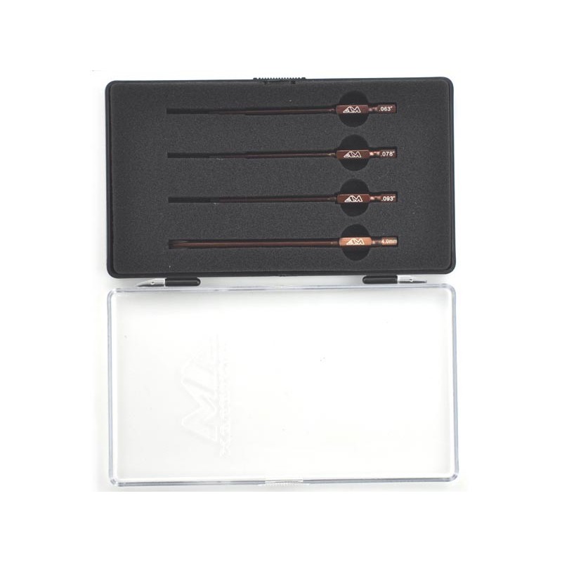 AM500801 - POWER TOOL TIP SET 4 PIECES WITH PLASTIC CASE (US)