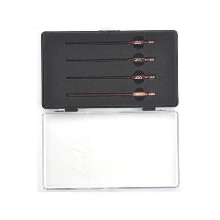 AM500801 - POWER TOOL TIP SET 4 PIECES WITH PLASTIC CASE (US)