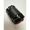 REDMTTE0053H - REDS VX4H 540 6.5T Brushless motor 2 poles sensored BRCA & EFRA legal