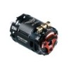REDMTTE0053H - REDS VX4H 540 6.5T Brushless motor 2 poles sensored BRCA & EFRA legal